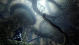 HeartcoreGaming: Dark Souls Review