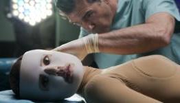 MovieLine: The Skin I Live In Review