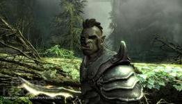 The Elder Scroll V: Skyrim how to freeze your enemies