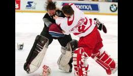 Should Fighting be Allowed in the Hockey Video Games?