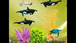 Top-Grossing Android Games: Tap Fish Leads, Minecraft Drops Out