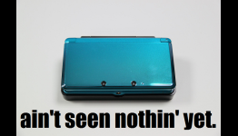 Op/Ed: The Dog Days Are Over, 3DS