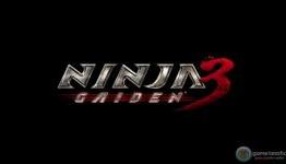 Ninja Gaiden 3 Preview | The Game Fanatics