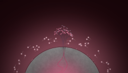 Pixels or Death Interview Eufloria Developers – Omni-Labs
