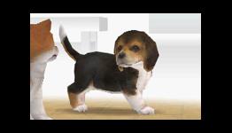 Nintendo’s 3DS Experiments: Lightning In A Bottle