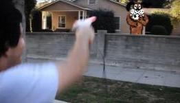 Duck Hunt in Real Life