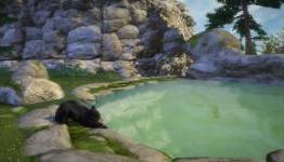 Xboxer360: Kinectimals Now With Bears Review