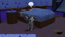 The Sims 3 Pets Review (ITF Gaming)