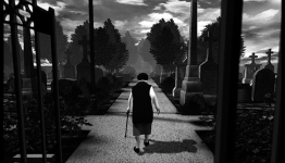 Tale Of Tales’ The Graveyard Gets Android Release