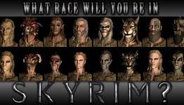 What Race Will You Be Playing In Skyrim? | GameBlurb