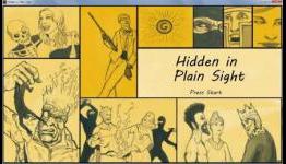 Interview: Hidden In Plain Sight | IGM