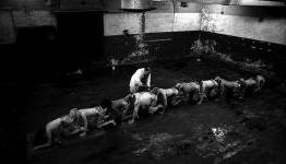Player Affinity | The Human Centipede II (Full Sequence) Review
