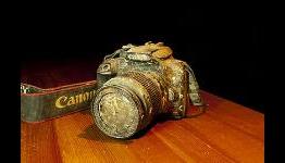 Google+ reunites DSLR with owner after a year at the bottom of the ocean