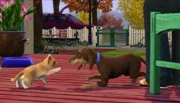 Game Guys review – The Sims 3 Pets