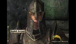 Is The Skyrim Protag REALLY A Dragonborn? – Humour Article