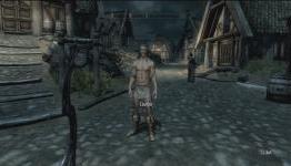 This Week – In Skyrim (Half-Naked Couriers, Floating Mammoth,Khajiit on Skooma)