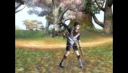 Argo Online: Level 15 Guide for Earning Your Pet