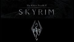 VIDEO: VGAs: Bethesda Elder Scrolls V: Skyrim Developers Talk Game of the Year Win Backstage
