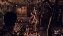 zConnection: Afterfall: InSanity Review