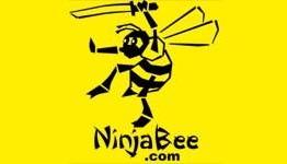 NinjaBee Talks About Porting A Kingdom For Keflings to the OnLive Service