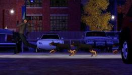 MSXB – The Sims 3 Pets Review