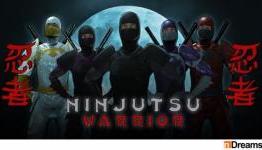 Ninjas head into PlayStation Home