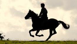 ScreenRant – Steven Spielberg and the Filmmakers of ‘War Horse’ Interview
