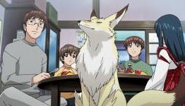 NISA releasing Our Home’s Fox Deity, Pandora Hearts and Persona trinity soul standard editions
