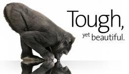 Gorilla Glass 2 Reveal On Monday