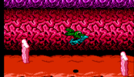 Classics Reborn: Battletoads (For The Love Of Gaming)