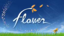 A Perfectionist’s Take on “Flower”