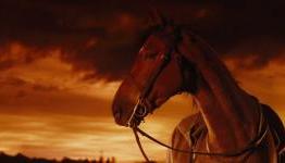 Push-Start Review: War Horse