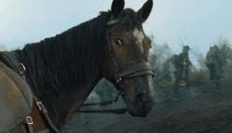 LRA: War Horse – Theatrical Review