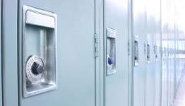 Anonymous to launch File Locker