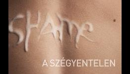 Provocative Hungarian Movie Poster for ‘Shame’