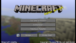 Minecraft translation patch accidentally included racial slur