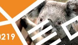 SBG Podcast 0219: I don’t know, I’m a koala