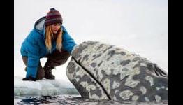 The Daily Rotation – Big Miracle Review