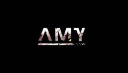 4Player Video Review: AMY