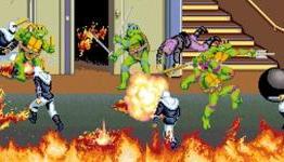 Teenage Mutant Ninja Turtles Removed From Wii Virtual Console