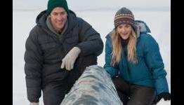 Big Miracle (2012) – Popzara Review