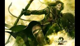 Guild Wars 2 Large Scale Beta in March