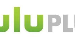 Nintendo Jumps On Board with Hulu Plus