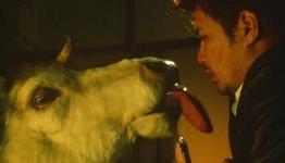 Top 10 Must See Takashi Miike Films