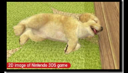 Want A Temporary Virtual Pet? Try Out A Nintendogs + cats Demo