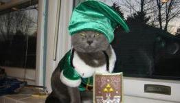 22 cute photos of cats dressed as Nintendo characters