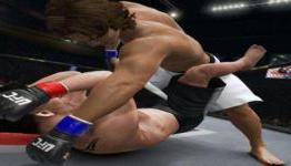 4 Reasons UFC: Undisputed 3 Brings Fans What They Want