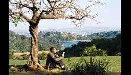 A Thousand Words (2012) – Popzara Review