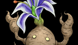 GNT Review: Eden Eternal