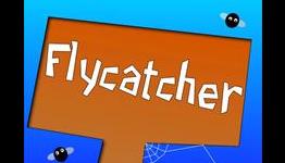 Flycatcher review